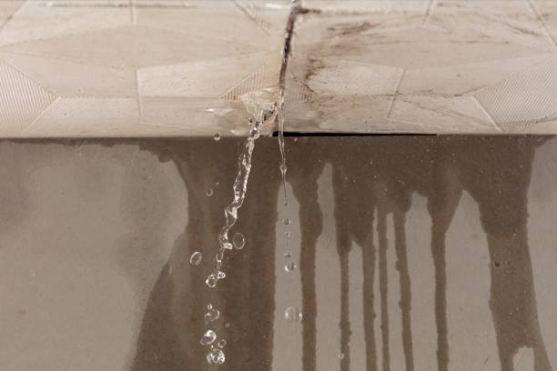 Professional Water Damage Repair technician working in Zenda, WI